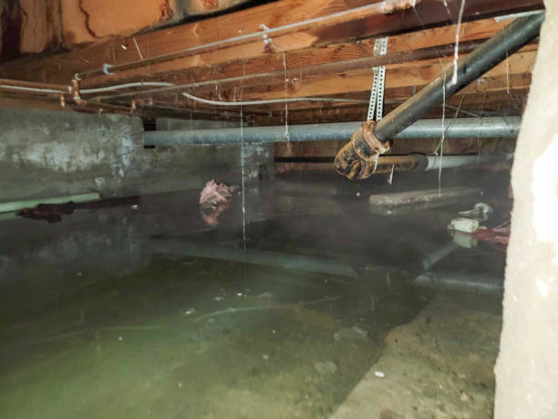 Best Water damage contractors near me  in Geistown, PA