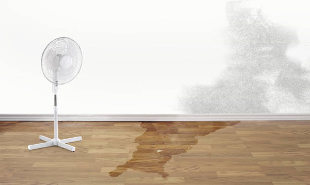 Best 24-hour water damage restoration  in Geistown, PA