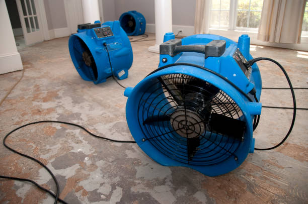 Best Flooded house restoration  in Geistown, PA