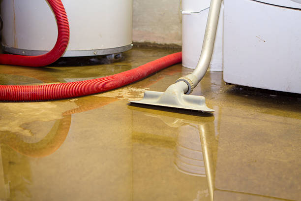 Best Mold removal after water damage  in Geistown, PA