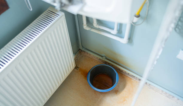 Best Mold removal after water damage  in Geistown, PA
