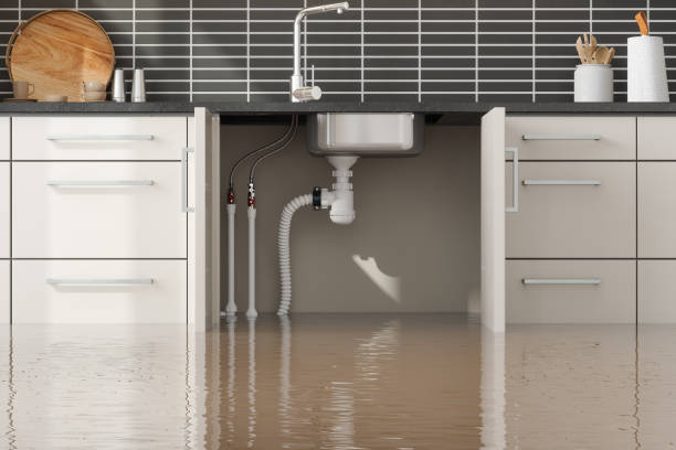 Best 24/7 water damage repair  in Geistown, PA