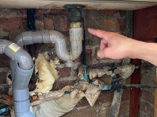 Best Water damage mitigation services  in Geistown, PA