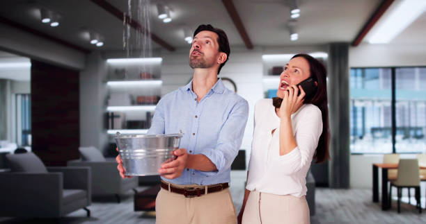 Best Water damage cleanup near me  in Geistown, PA